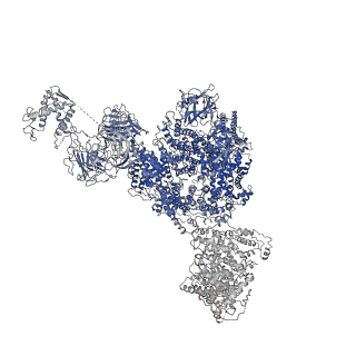 8373_5t9n_I_v1-2
Structure of rabbit RyR1 (Ca2+-only dataset, class 2)
