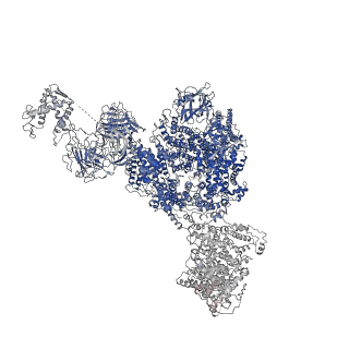 8373_5t9n_I_v1-3
Structure of rabbit RyR1 (Ca2+-only dataset, class 2)