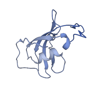 8373_5t9n_J_v1-2
Structure of rabbit RyR1 (Ca2+-only dataset, class 2)