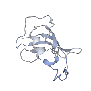 8375_5t9s_A_v1-2
Structure of rabbit RyR1 (Ca2+-only dataset, class 4)
