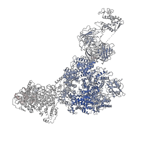 8375_5t9s_B_v1-2
Structure of rabbit RyR1 (Ca2+-only dataset, class 4)