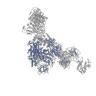 8375_5t9s_E_v1-2
Structure of rabbit RyR1 (Ca2+-only dataset, class 4)