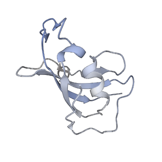 8375_5t9s_H_v1-2
Structure of rabbit RyR1 (Ca2+-only dataset, class 4)