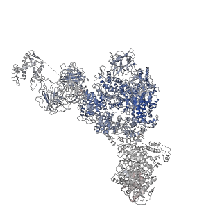 8375_5t9s_I_v1-2
Structure of rabbit RyR1 (Ca2+-only dataset, class 4)