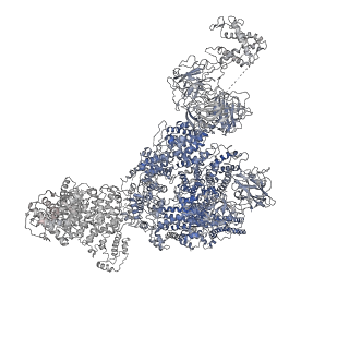 8376_5t9v_B_v1-2
Structure of rabbit RyR1 (Caffeine/ATP/Ca2+ dataset, class 1)