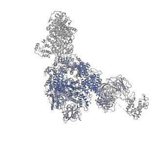 8376_5t9v_E_v1-2
Structure of rabbit RyR1 (Caffeine/ATP/Ca2+ dataset, class 1)