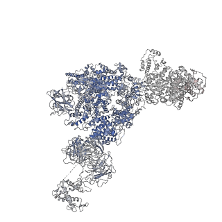 8376_5t9v_G_v1-2
Structure of rabbit RyR1 (Caffeine/ATP/Ca2+ dataset, class 1)