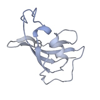 8376_5t9v_H_v1-2
Structure of rabbit RyR1 (Caffeine/ATP/Ca2+ dataset, class 1)
