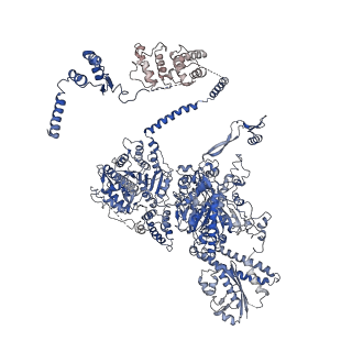 10420_6ta1_A_v1-1
Fatty acid synthase of S. cerevisiae