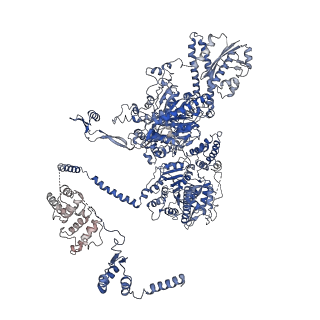 10420_6ta1_B_v1-1
Fatty acid synthase of S. cerevisiae