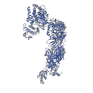 10420_6ta1_C_v1-1
Fatty acid synthase of S. cerevisiae