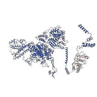 10420_6ta1_D_v1-1
Fatty acid synthase of S. cerevisiae