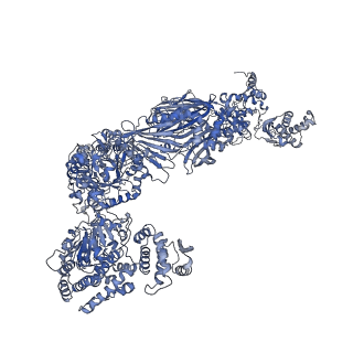 10420_6ta1_E_v1-1
Fatty acid synthase of S. cerevisiae