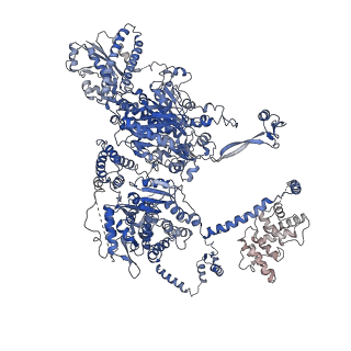 10420_6ta1_F_v1-1
Fatty acid synthase of S. cerevisiae