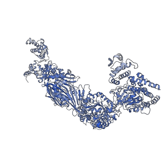 10420_6ta1_G_v1-1
Fatty acid synthase of S. cerevisiae