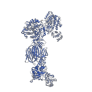 10420_6ta1_H_v1-1
Fatty acid synthase of S. cerevisiae