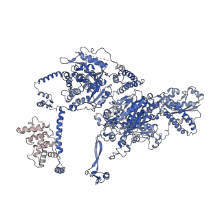 10420_6ta1_I_v1-1
Fatty acid synthase of S. cerevisiae