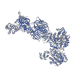 10420_6ta1_J_v1-1
Fatty acid synthase of S. cerevisiae