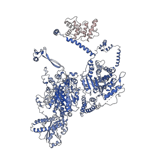 10420_6ta1_K_v1-1
Fatty acid synthase of S. cerevisiae