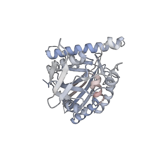 10421_6ta3_K_v1-0
Human kinesin-5 motor domain in the GSK-1 state bound to microtubules (Conformation 1)
