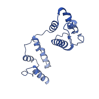 10425_6tar_D_v1-3
Structure of the five-fold capsomer of the dArc1 capsid