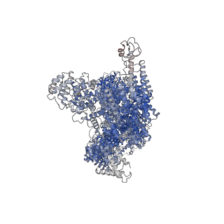 10429_6tax_A_v1-1
Mouse RNF213 wild type protein