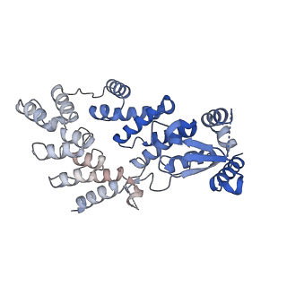 25769_7tac_A_v1-2
Cryo-EM structure of the (TGA3)2-(NPR1)2-(TGA3)2 complex