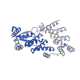 25769_7tac_B_v1-2
Cryo-EM structure of the (TGA3)2-(NPR1)2-(TGA3)2 complex