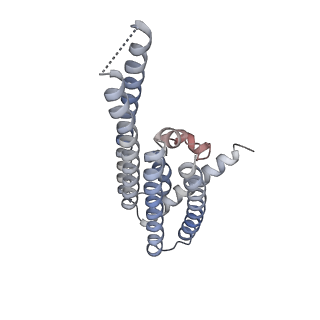 25769_7tac_C_v1-2
Cryo-EM structure of the (TGA3)2-(NPR1)2-(TGA3)2 complex