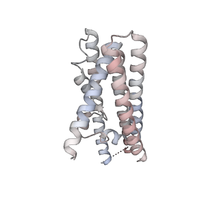 25769_7tac_D_v1-1
Cryo-EM structure of the (TGA3)2-(NPR1)2-(TGA3)2 complex