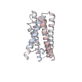 25769_7tac_D_v1-2
Cryo-EM structure of the (TGA3)2-(NPR1)2-(TGA3)2 complex