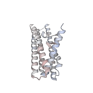25769_7tac_F_v1-1
Cryo-EM structure of the (TGA3)2-(NPR1)2-(TGA3)2 complex