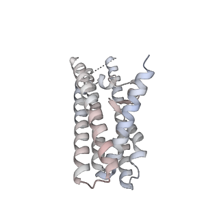 25769_7tac_F_v1-2
Cryo-EM structure of the (TGA3)2-(NPR1)2-(TGA3)2 complex