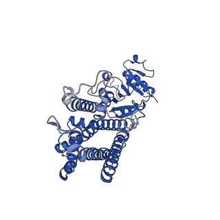 25775_7tai_A_v1-1
Structure of STEAP2 in complex with ligands