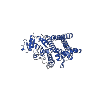 25775_7tai_C_v1-0
Structure of STEAP2 in complex with ligands