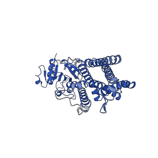 25775_7tai_C_v1-1
Structure of STEAP2 in complex with ligands