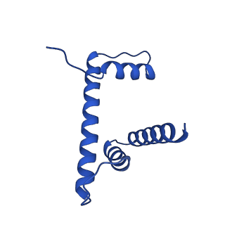 25777_7tan_D_v1-1
Structure of VRK1 C-terminal tail bound to nucleosome core particle