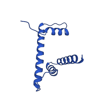 25777_7tan_D_v1-2
Structure of VRK1 C-terminal tail bound to nucleosome core particle