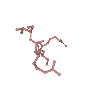 25777_7tan_L_v1-1
Structure of VRK1 C-terminal tail bound to nucleosome core particle