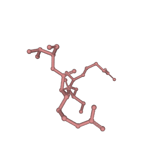 25777_7tan_L_v1-2
Structure of VRK1 C-terminal tail bound to nucleosome core particle