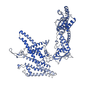 25779_7tao_A_v1-1
Cryo-EM structure of bafilomycin A1 bound to yeast VO V-ATPase