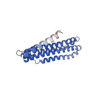 25779_7tao_C_v1-1
Cryo-EM structure of bafilomycin A1 bound to yeast VO V-ATPase