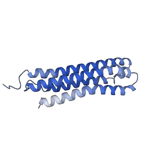 25779_7tao_D_v1-1
Cryo-EM structure of bafilomycin A1 bound to yeast VO V-ATPase
