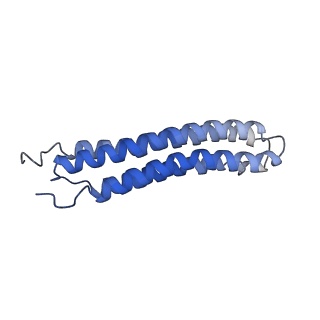 25779_7tao_E_v1-1
Cryo-EM structure of bafilomycin A1 bound to yeast VO V-ATPase