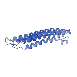 25779_7tao_F_v1-1
Cryo-EM structure of bafilomycin A1 bound to yeast VO V-ATPase