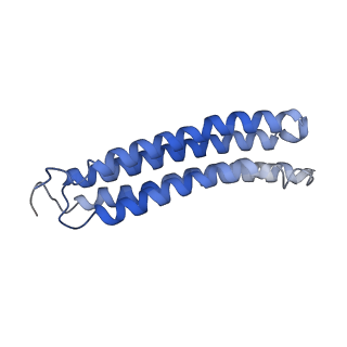 25779_7tao_G_v1-1
Cryo-EM structure of bafilomycin A1 bound to yeast VO V-ATPase