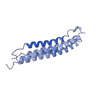25779_7tao_K_v1-1
Cryo-EM structure of bafilomycin A1 bound to yeast VO V-ATPase