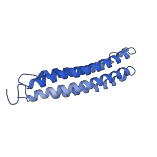 25779_7tao_L_v1-1
Cryo-EM structure of bafilomycin A1 bound to yeast VO V-ATPase
