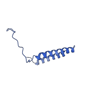 25779_7tao_M_v1-1
Cryo-EM structure of bafilomycin A1 bound to yeast VO V-ATPase