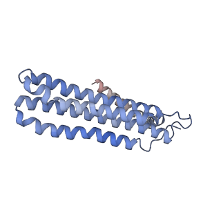 25780_7tap_C_v1-1
Cryo-EM structure of archazolid A bound to yeast VO V-ATPase